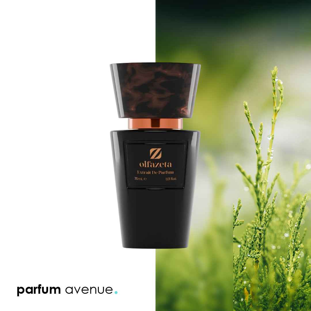 Inspired by Intenso - Dolce & Gabbana