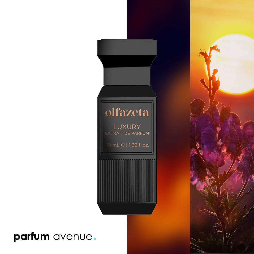 Inspired by Velvet Amber Sun - Dolce & Gabanna