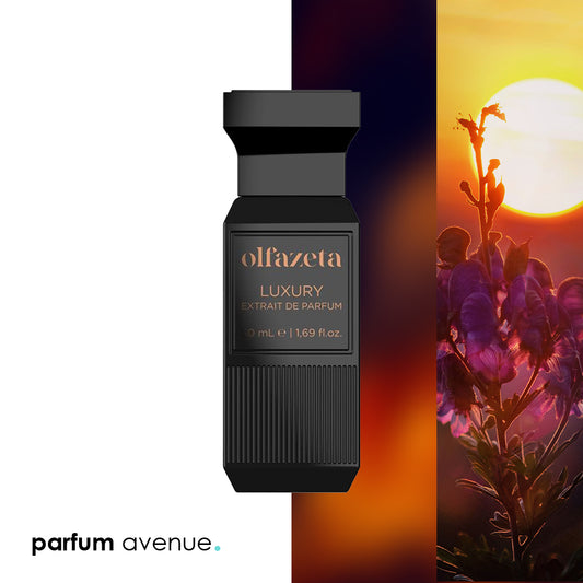 Inspired by Velvet Amber Sun - Dolce & Gabanna